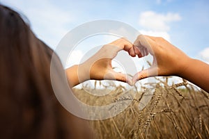 Women& x27;s hands in the shape of a heart on the background of the sky and a field with ears of corn. Hands in the shape of