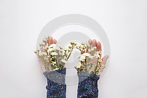 Women`s hands in a sweater from under which flowers are on the palms.