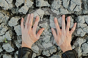 Women's hands touch the dried cracked earth