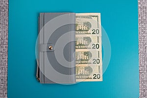 Women`s leather wallet. Gray womens wallet with banknotes. Dollar bills.