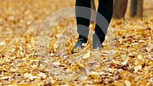 Women's legs in black shoes walking on orange fallen leaves in the autumn park