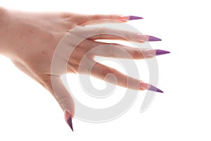 Women's long fingernails. Painted blue nail polish.