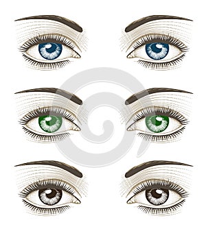 Women`s luxurious eyes with perfect eyebrowes and full lashes