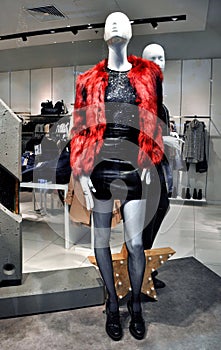 Women`s mannequin