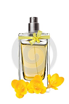 Women's perfume in beautiful bottle and freesia flower isolated