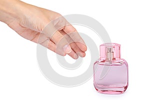 Women`s perfume in beautiful pink bottle isolated on white background, luxury smell, crystall glass