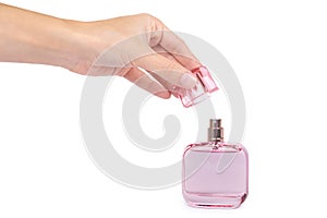 Women`s perfume in beautiful pink bottle isolated on white background, luxury smell, crystall glass