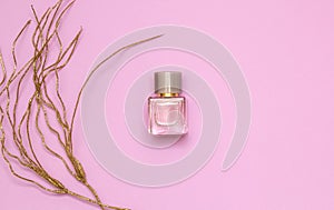 Women`s perfume in glass bottle on pink background. Top view, flat lay