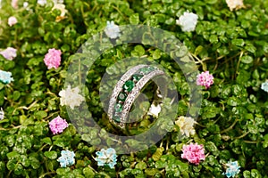 Women's platinum ring with a diamonds and  precious emerald jemstone photo