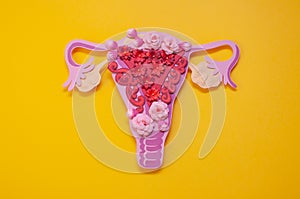 The women`s reproductive system. The concept of endometriosis of the uterus