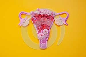 The women`s reproductive system. The concept of endometriosis of the uterus photo