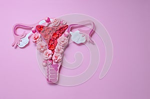 The women`s reproductive system. The concept of women`s health. Copyspace