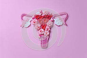 The women`s reproductive system. The concept of women`s health. Paper flowers photo