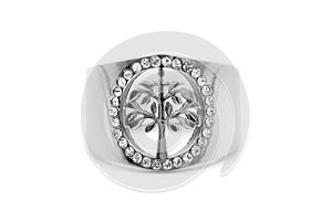 Women`s ring Tree of Life. Stainless steel