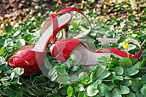 Women`s shoes on the grass