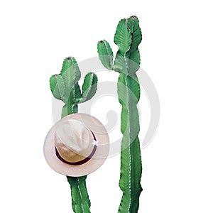 Women\'s straw hat hanging on a large cactus, isolated on a white back