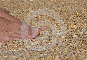 Women`s tanned legs on the sea sand