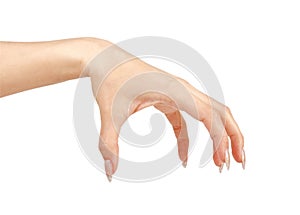 Women's thrilling hand on a white photo