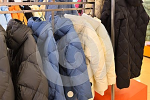 Women's winter insulated jackets in the store