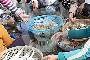 Women selling fish and shrimps at the outskirts of Da Nang, Vietnam