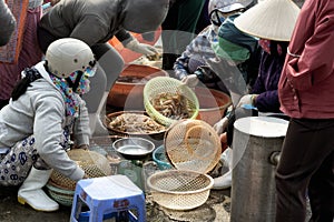 Women selling shrimps at the outskirts of Da Nang