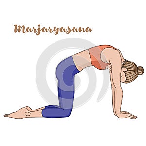 Women silhouette. Cat yoga pose. Marjaryasana