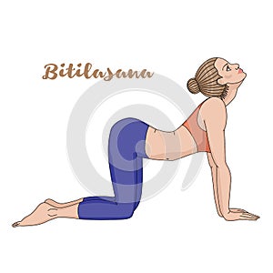 Women silhouette. Cow yoga pose. Bitilasana.