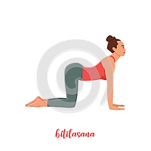 Women silhouette. Cow yoga pose. Bitilasana Vector illustration