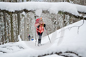 Women ski touring, late Winter - early Spring, in the Carpathian mountains, Romania. Girls with skis, backpacks, and poles.