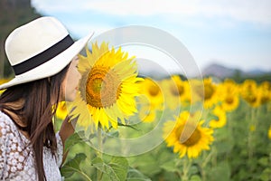 Women smells sunflower in nature