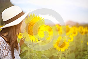 Women smells sunflower in nature