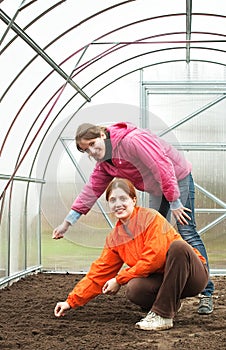 Women sows in bed at hothouse