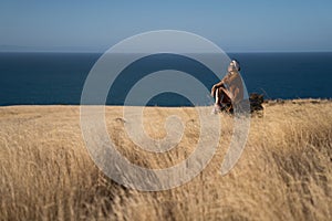 A women stand on dried Grass flower in meadow with sun lights
