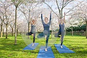 Women standing in a tree pose, vrksasana.