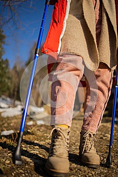 Women With Sticks In Winter Forest Making Nordic Walking.