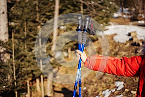 Women With Sticks In Winter Forest Making Nordic Walking.