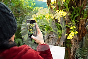 Women taking picture of flowers on her phone