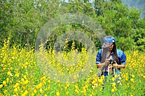 Women Thai Portrait on Crotalaria juncea Field at Countryside Nakornratchasrima