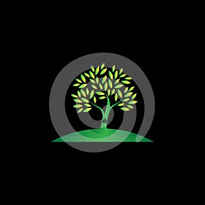 women tree icon, Tree with Body Women Logo Design