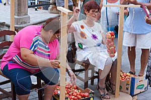 Women tying tomatoes together to form the hanging bunches during Tomato `Ramellet` Night Fair