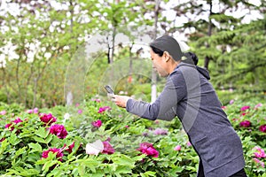 Women use mobile phones to take pictures of flowers