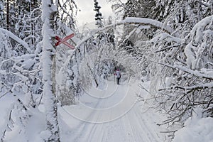 Women walking with fitness walking poles on a snowmobile trail