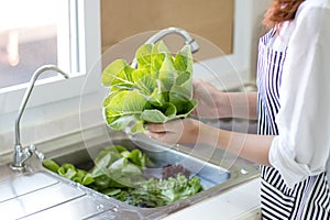 Women wash vegetables