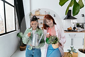 Women with a watering can and a houseplant