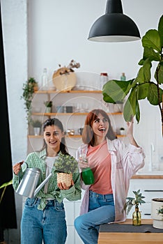 Women with a watering can and a houseplant