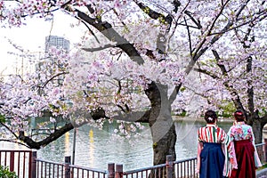 Women wear traditional Japanese Kimono or Yukata, woman behind while sightseeing sakura in sakura cherry blossoms park, two Kimono