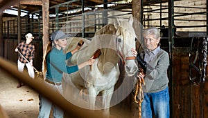 Women workers brushing white racehorse after riding in stable