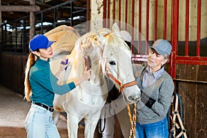 Women workers brushing white racehorse after riding in stable