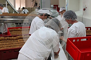 Biscuit factory employees