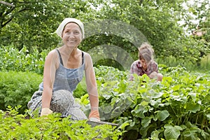 Women working in vegetable garden